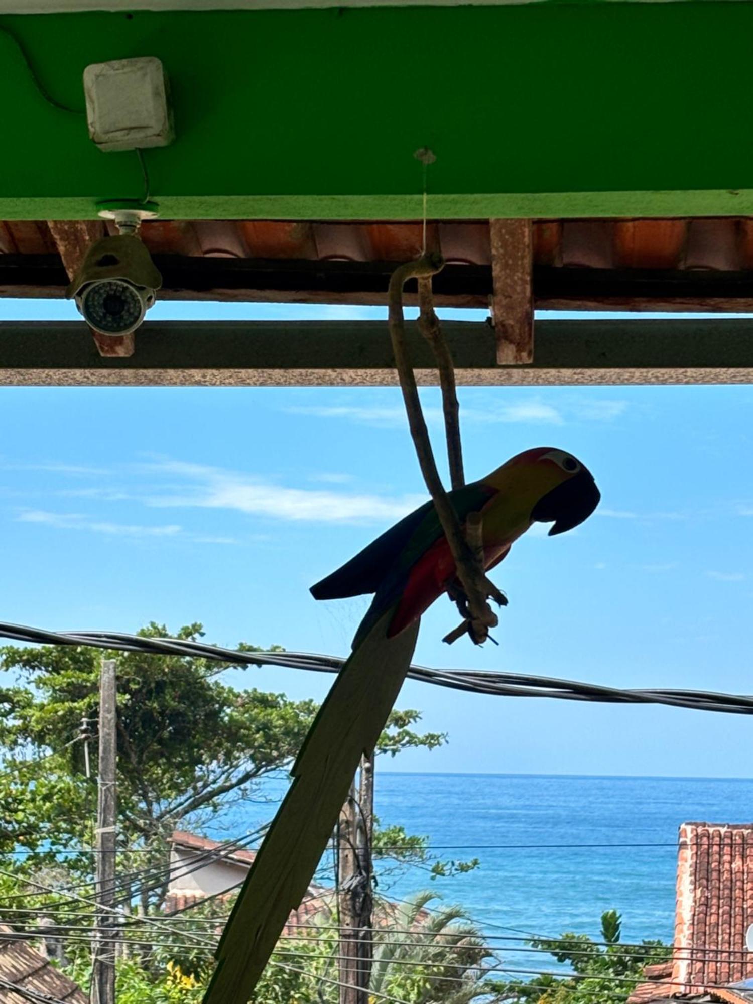 Pouso Da Celeste - Trindade Trindade  Buitenkant foto